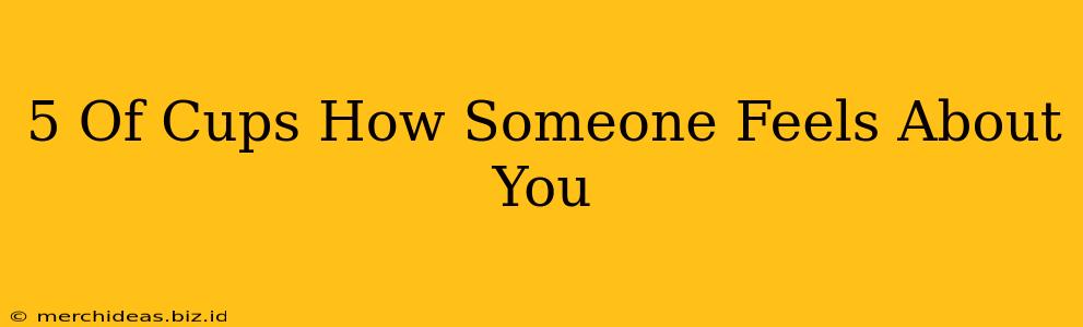 5 Of Cups How Someone Feels About You