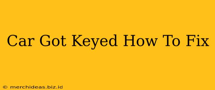 Car Got Keyed How To Fix