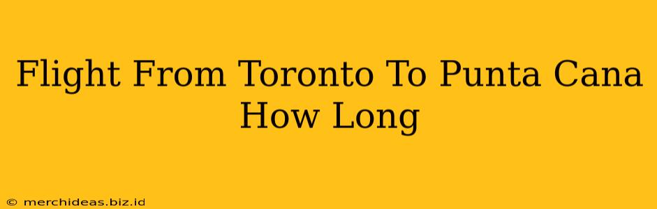 Flight From Toronto To Punta Cana How Long