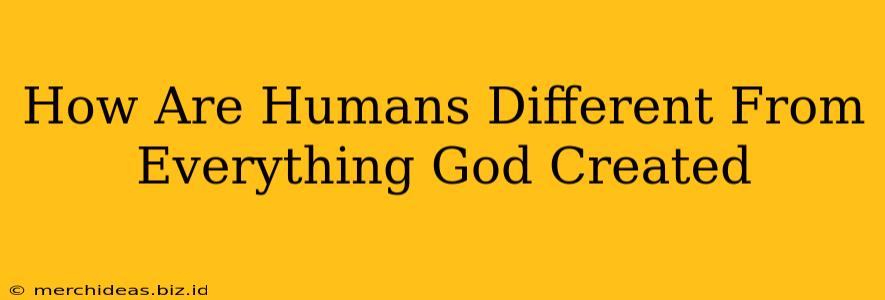 How Are Humans Different From Everything God Created