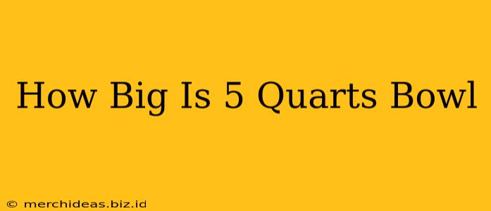 How Big Is 5 Quarts Bowl