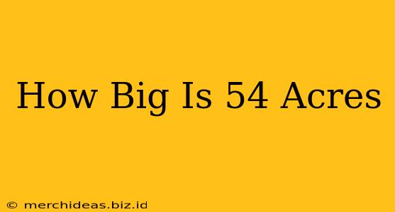 How Big Is 54 Acres