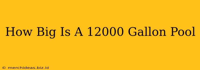 How Big Is A 12000 Gallon Pool