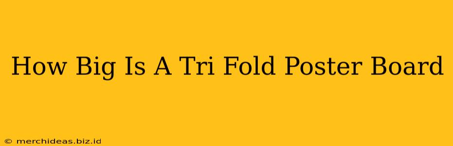 How Big Is A Tri Fold Poster Board
