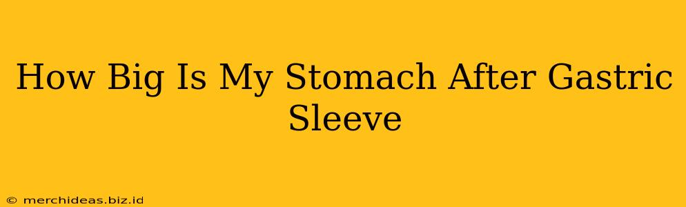 How Big Is My Stomach After Gastric Sleeve