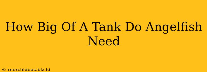 How Big Of A Tank Do Angelfish Need