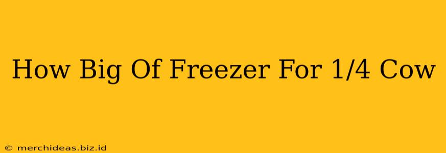 How Big Of Freezer For 1/4 Cow