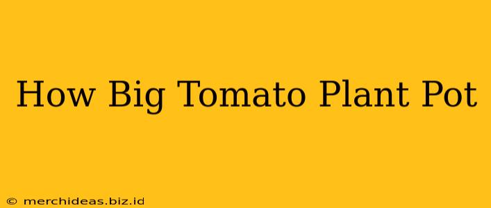 How Big Tomato Plant Pot