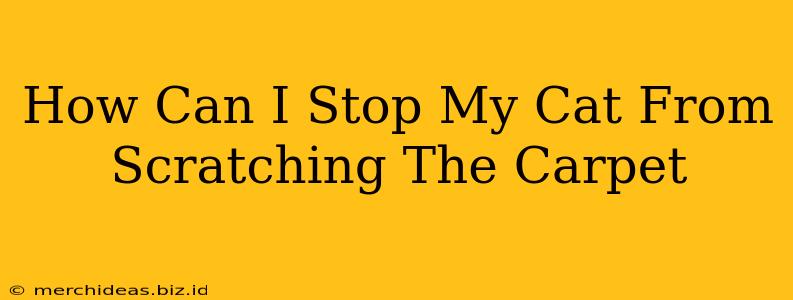 How Can I Stop My Cat From Scratching The Carpet