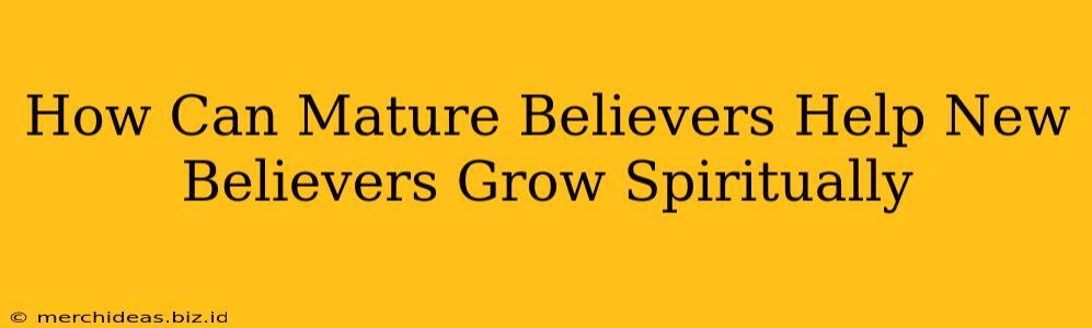 How Can Mature Believers Help New Believers Grow Spiritually