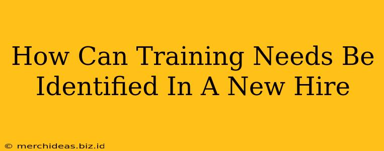 How Can Training Needs Be Identified In A New Hire