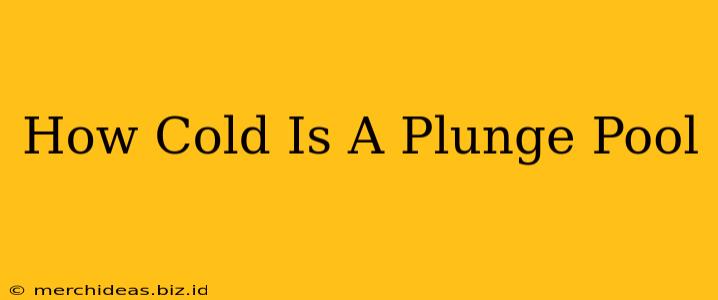 How Cold Is A Plunge Pool