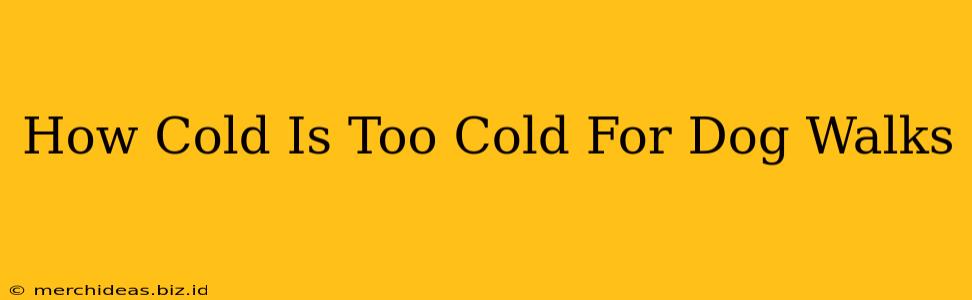 How Cold Is Too Cold For Dog Walks