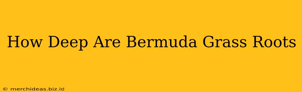How Deep Are Bermuda Grass Roots