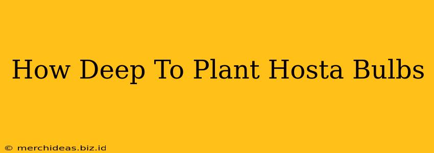 How Deep To Plant Hosta Bulbs