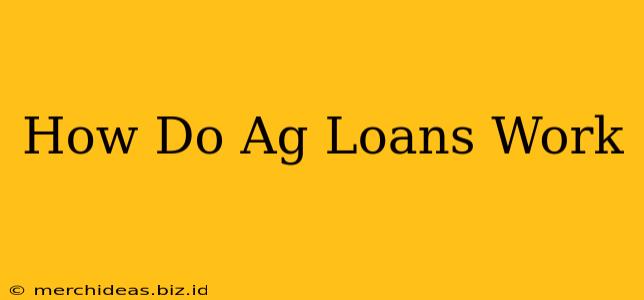 How Do Ag Loans Work