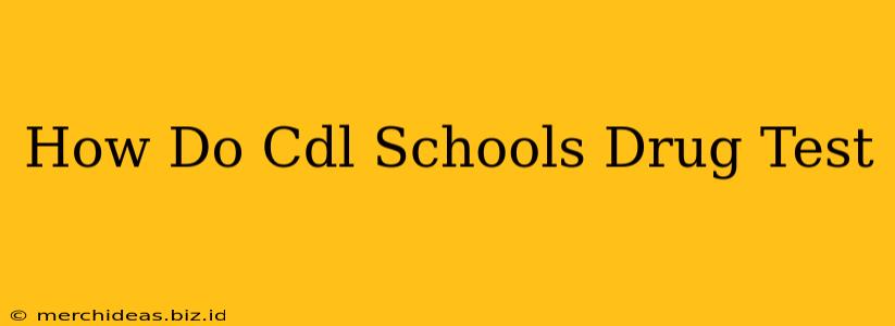How Do Cdl Schools Drug Test