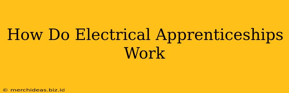 How Do Electrical Apprenticeships Work