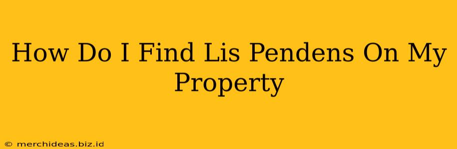 How Do I Find Lis Pendens On My Property