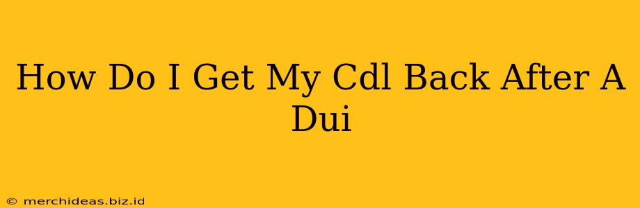 How Do I Get My Cdl Back After A Dui