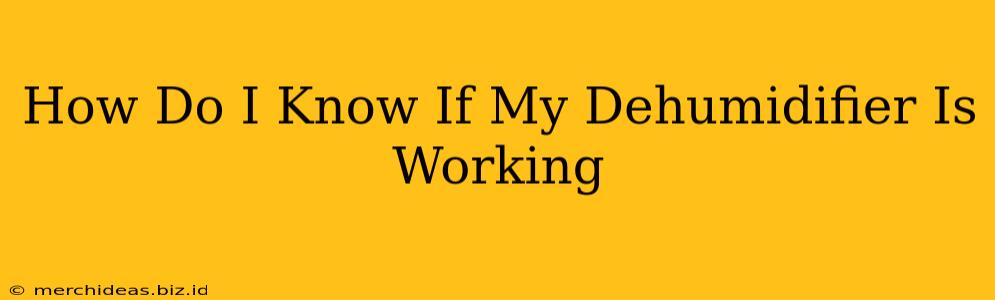 How Do I Know If My Dehumidifier Is Working