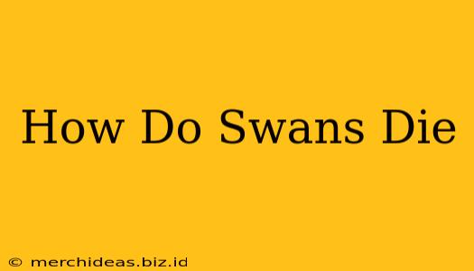 How Do Swans Die
