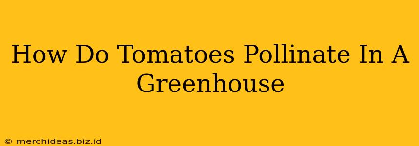 How Do Tomatoes Pollinate In A Greenhouse