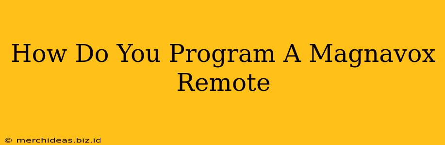 How Do You Program A Magnavox Remote