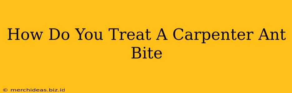How Do You Treat A Carpenter Ant Bite