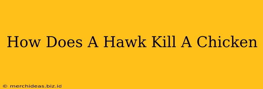 How Does A Hawk Kill A Chicken