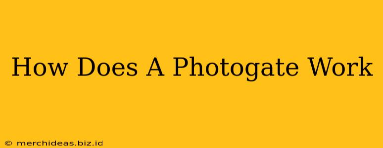 How Does A Photogate Work