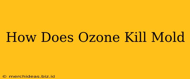 How Does Ozone Kill Mold