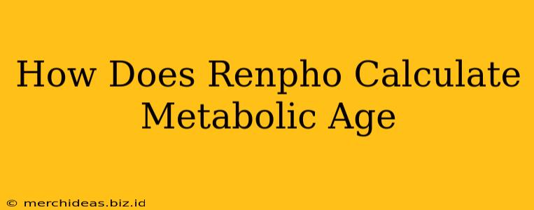 How Does Renpho Calculate Metabolic Age