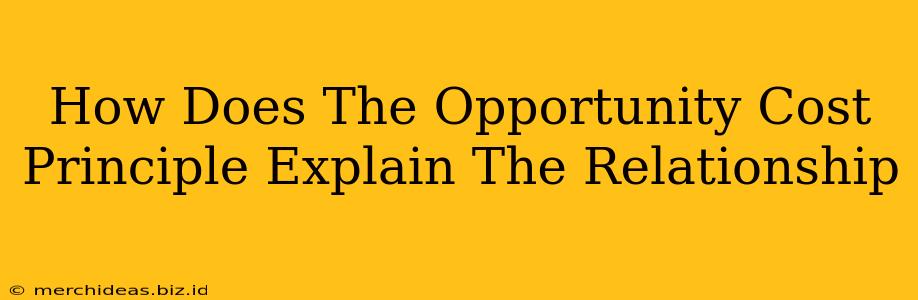 How Does The Opportunity Cost Principle Explain The Relationship