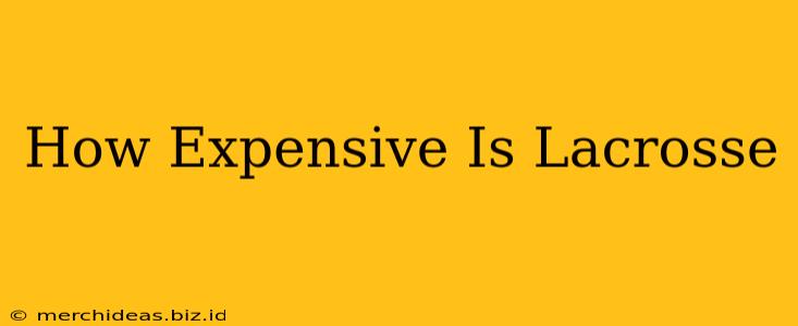 How Expensive Is Lacrosse