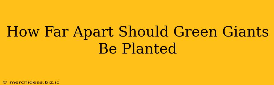 How Far Apart Should Green Giants Be Planted