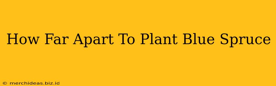 How Far Apart To Plant Blue Spruce
