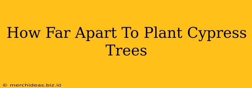 How Far Apart To Plant Cypress Trees