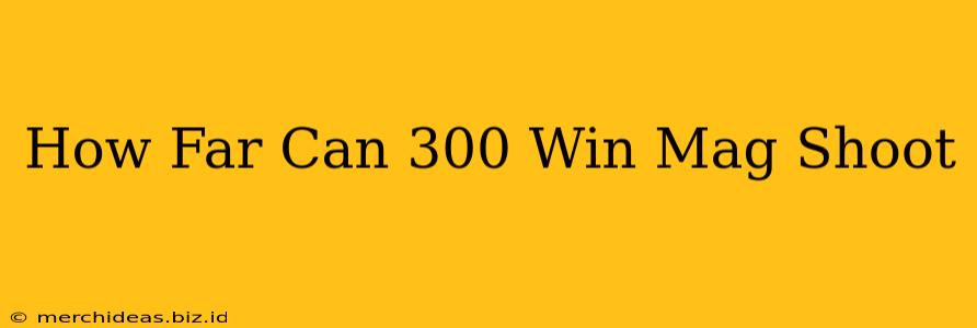 How Far Can 300 Win Mag Shoot