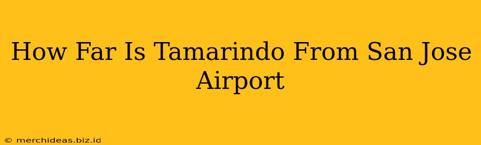 How Far Is Tamarindo From San Jose Airport