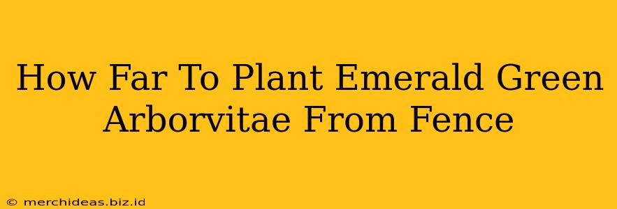 How Far To Plant Emerald Green Arborvitae From Fence