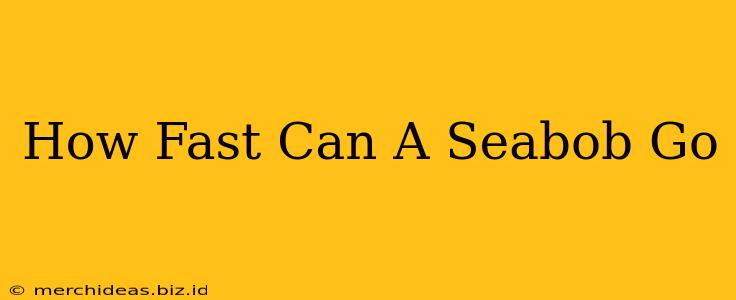How Fast Can A Seabob Go