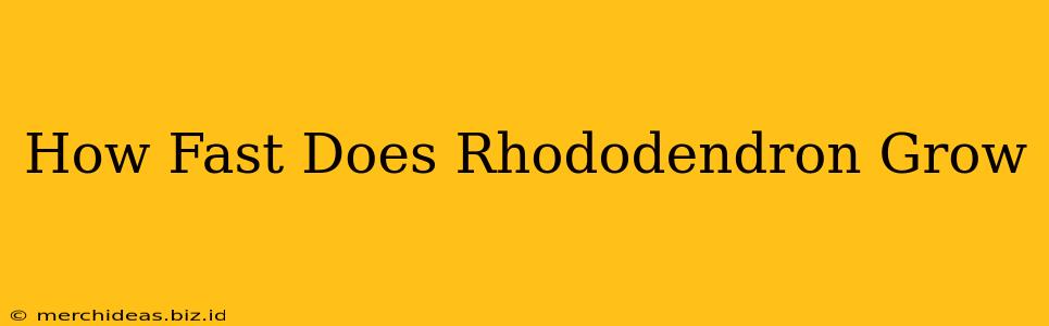 How Fast Does Rhododendron Grow