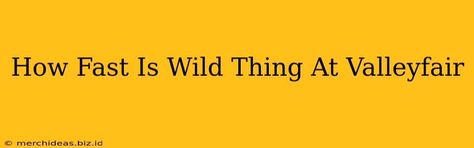 How Fast Is Wild Thing At Valleyfair