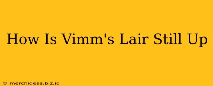 How Is Vimm's Lair Still Up