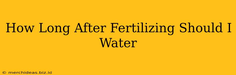How Long After Fertilizing Should I Water