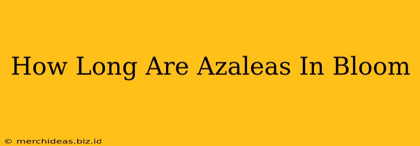 How Long Are Azaleas In Bloom