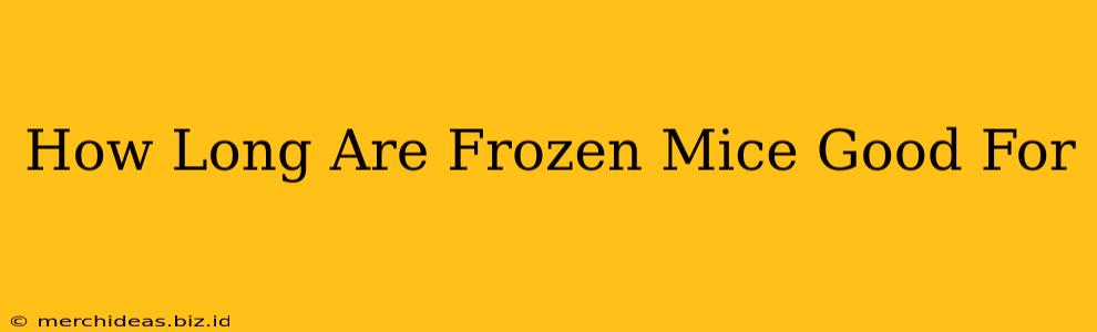 How Long Are Frozen Mice Good For
