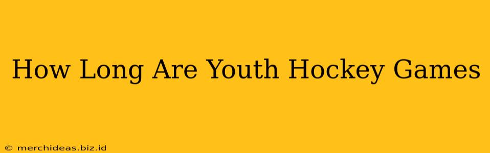 How Long Are Youth Hockey Games