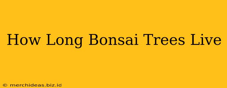 How Long Bonsai Trees Live